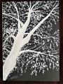 encre blanche_0002
